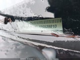 Ram  Longhorn 3C63RRKL1DG539010 снимка