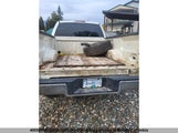 Ford F150 1FTPW14V57FB13877 снимка