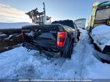 Ford F150 1FTEW1E81NFB99234 снимка