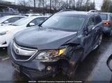 Acura Rdx Technology 5J8TB4H51DL805901 снимка