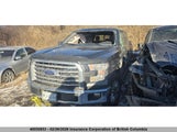 Ford F150 1FTFW1EG7FFA64319 fotografie