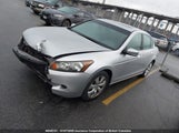 Honda Accord Ex 1HGCP36789A802240 снимка