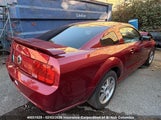 Ford Mustang Gt 1ZVFT82H955106327 снимка