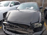 Ford Mustang 1ZVBP8AM9E5317707 снимка