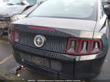 Ford Mustang 1ZVBP8AM9E5317707 снимка