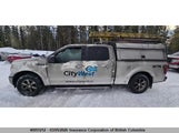 Ford F150 1FTFW1E43LKD99876 снимка