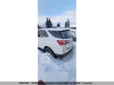 Chevrolet Equinox Ls 2GNAXSEV1K6128846 снимка