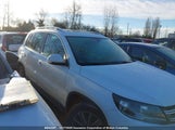 Volkswagen Tiguan S/Se/Sel/R-Line WVGJV3AX1EW572679 fotografie