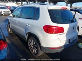 Volkswagen Tiguan S/Se/Sel/R-Line WVGJV3AX1EW572679 fotografie