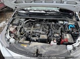Toyota Corolla Le/Se/Night Shade JTDBDMHE4P3002184 photo