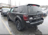Ford Escape Xlt 1FMCU0D75BKB62475 fotografie