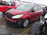 Ford C-Max Premium Sel 1FADP5CU8GL111922 снимка