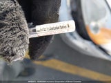 Honda Civic Lx 2HGES15802H942294 снимка