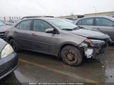 Toyota Corolla L/Le/Xle/Se/Xse 2T1BURHE5KC126638 photo