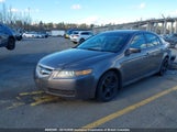 Acura Tl 19UUA66236A803366 снимка