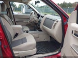 Ford Escape Xlt 1FMCU03118KA19528 снимка