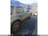 Ford Escape Xlt 1FMYU93127KB05066 снимка