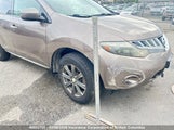 Nissan Murano S/Sl/Le JN8AZ18W99W202813 fotografie