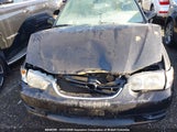 Toyota Corolla Ce/Le/Sport 2T1BR12E31C818830 снимка