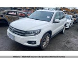 Volkswagen Tiguan S/Se/Sel WVGJV3AX2DW566923 fotografie