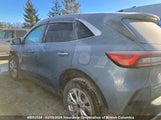 Ford Escape Active 1FMCU9GN1RUB30961 снимка