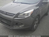 Ford Escape Se 1FMCU9G96DUC97196 снимка