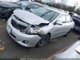 Toyota Corolla S/Le/Xle 2T1BU4EE2AC303426 снимка
