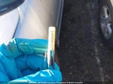Nissan Maxima Se/Sl 1N4BA41E98C825235 снимка