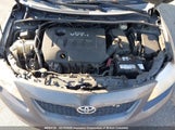 Toyota Corolla S/Le/Xle 2T1BU40E49C021842 снимка
