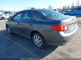 Toyota Corolla S/Le/Xle 2T1BU40E49C021842 снимка