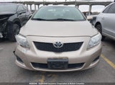Toyota Corolla S/Le/Xle 2T1BU4EE5AC216006 снимка