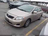 Toyota Corolla S/Le/Xle 2T1BU4EE5AC216006 снимка