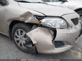 Toyota Corolla S/Le/Xle 2T1BU4EE5AC216006 снимка