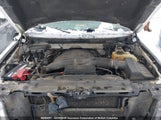 Ford F150 1FTFW1ET2BKD59102 снимка