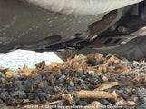 Volkswagen Jetta 3VWSR69M84M021217 снимка