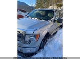 Ford F150 1FTFW1EFXDFC30319 снимка