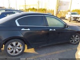 Honda Accord Exl 1HGCP36859A802088 снимка