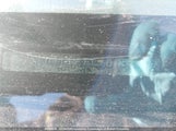 Toyota Corolla S/Le/Xle 2T1BU4EE4AC208365 снимка