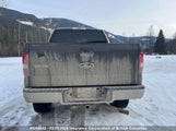 Ford F150 1FTPW14587KC68575 снимка