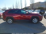 Toyota Rav4 2T3B1RFV8LC115704 снимка