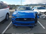 Ford Mustang 1FA6P8TH0L5140097 снимка