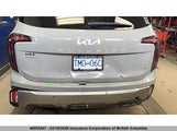 Kia Telluride Sx/Sx Limited/X-Line/X-Pro 5XYP5DGC9PG383268 photo