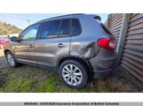 Volkswagen Tiguan Se/Sel WVGBV95N39W065319 photo