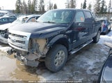 Ford F150 1FTFW1ET6EFC37789 снимка