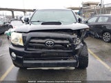Toyota Tacoma Base V6 5TELU42N67Z356190 photo