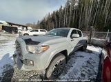 Toyota Tacoma Double Cab/Sr5/Trd Sport/Trd Off Road 5TFDZ5BN9MX063415 photo