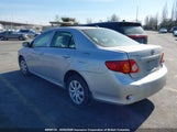 Toyota Corolla S/Le/Xle 2T1BU4EEXAC351546 снимка