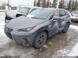 Lexus Nx 300 JTJAARDZXM2242588 photo