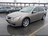 Nissan Maxima Se/Sl 1N4BA41E58C813017 снимка