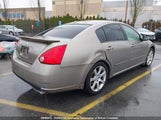 Nissan Maxima Se/Sl 1N4BA41E58C813017 снимка